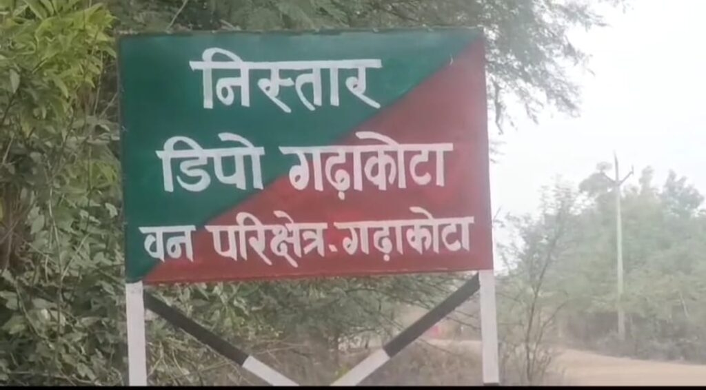 786f4a08 59d1 4ba1 be41 0d140d0d2fec