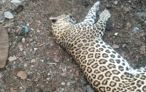 8dac2ef6 7a68 4d43 bd16 28667b36af7c e1707714131657