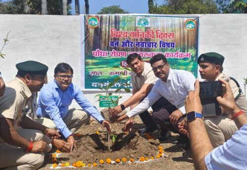 विश्व वानिकी दिवस