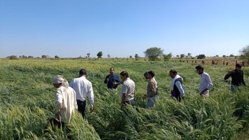 बेमौसम बारिश