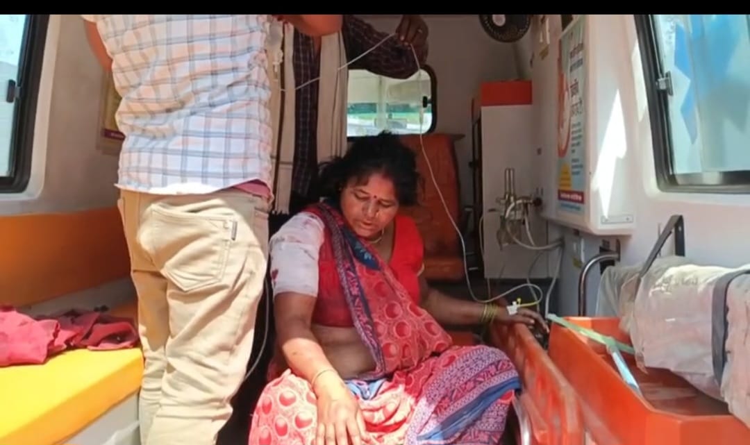 भालू