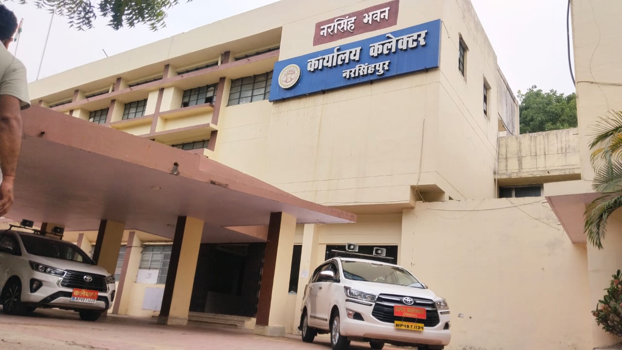 बीएमओ