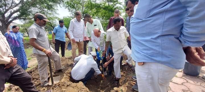 वृक्षारोपण