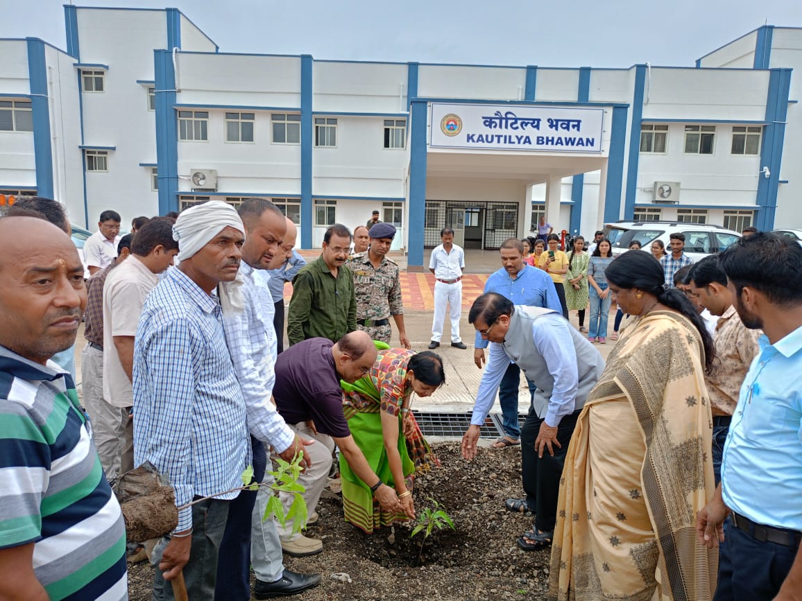 गौर