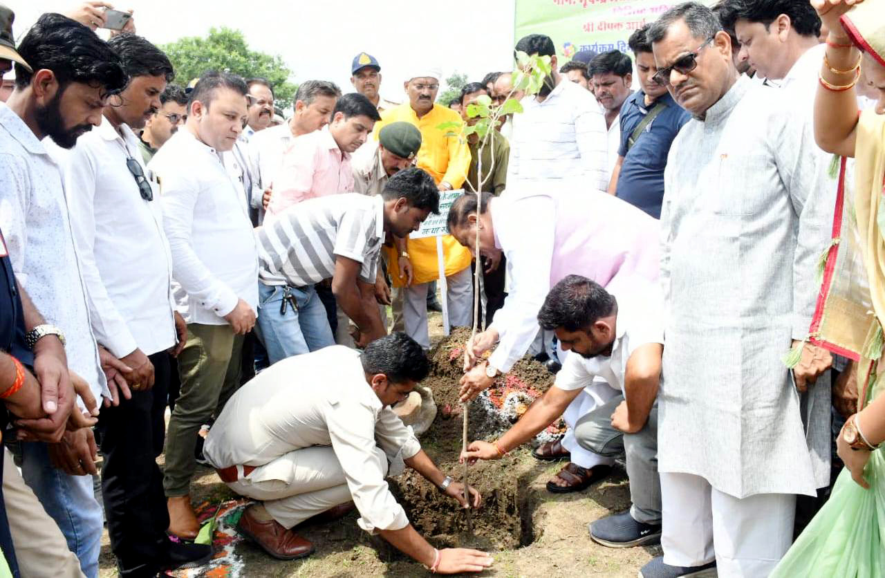वृक्ष