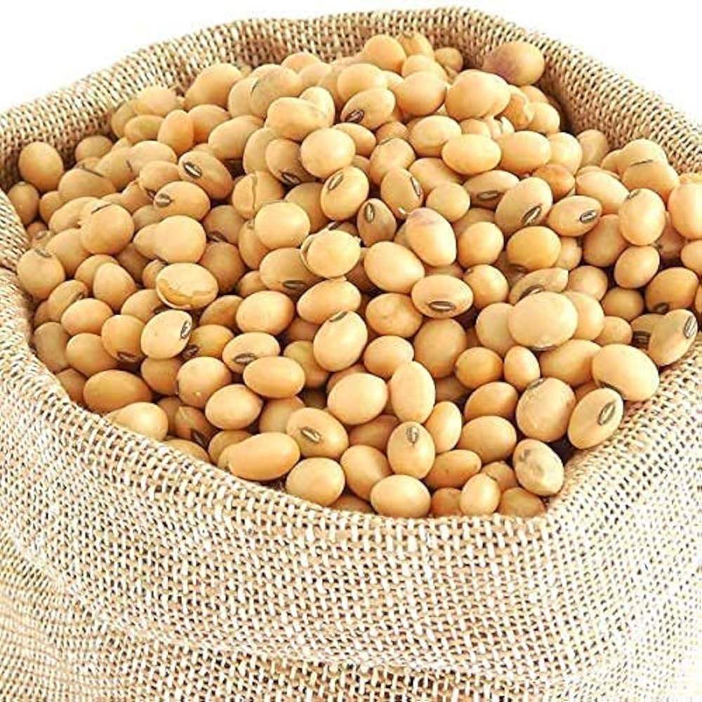 सोयाबीन