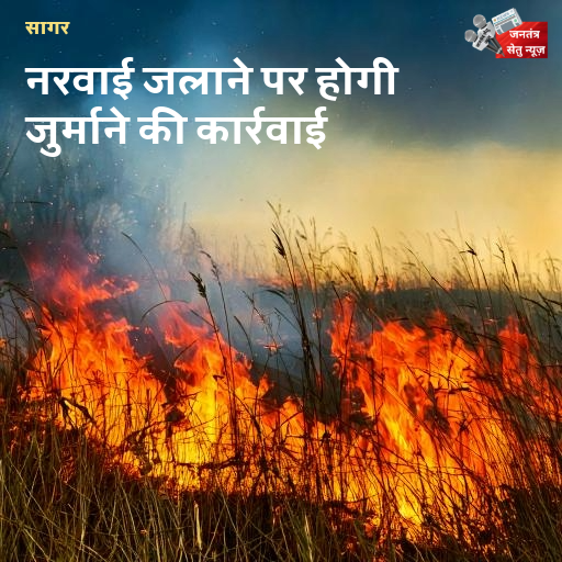 सागर नरवाई