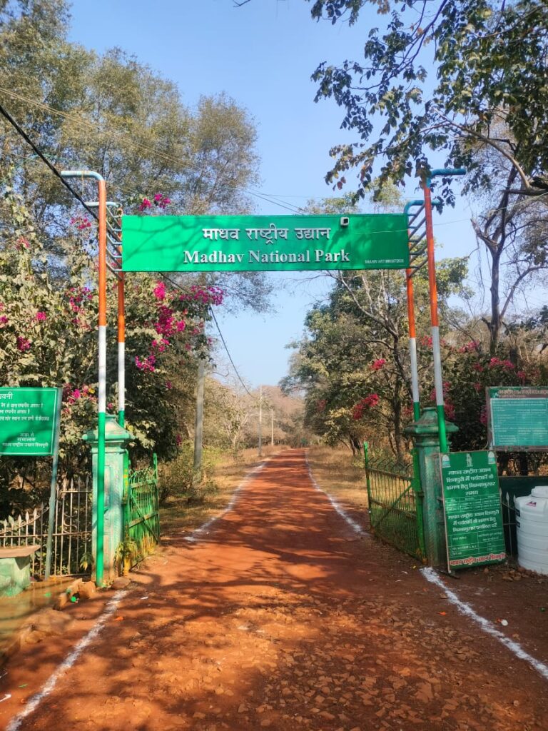 D 011224071239