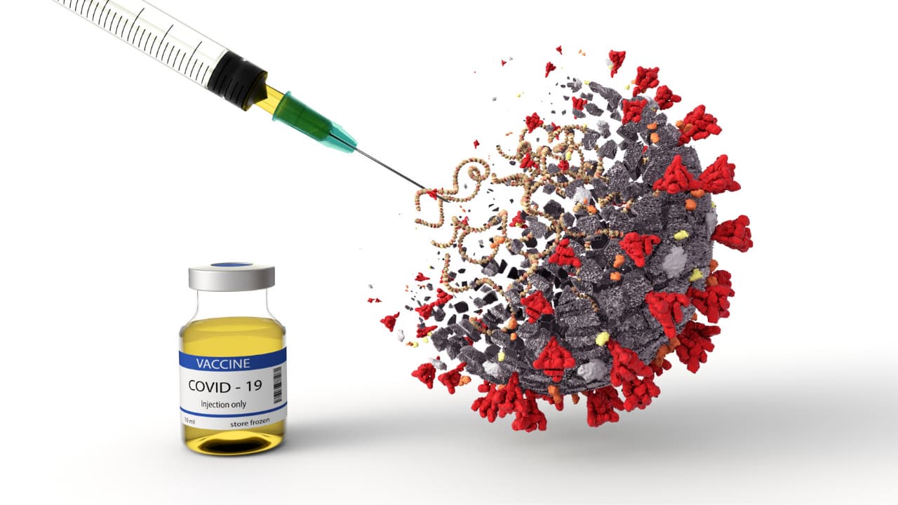 viral vector based vaccines