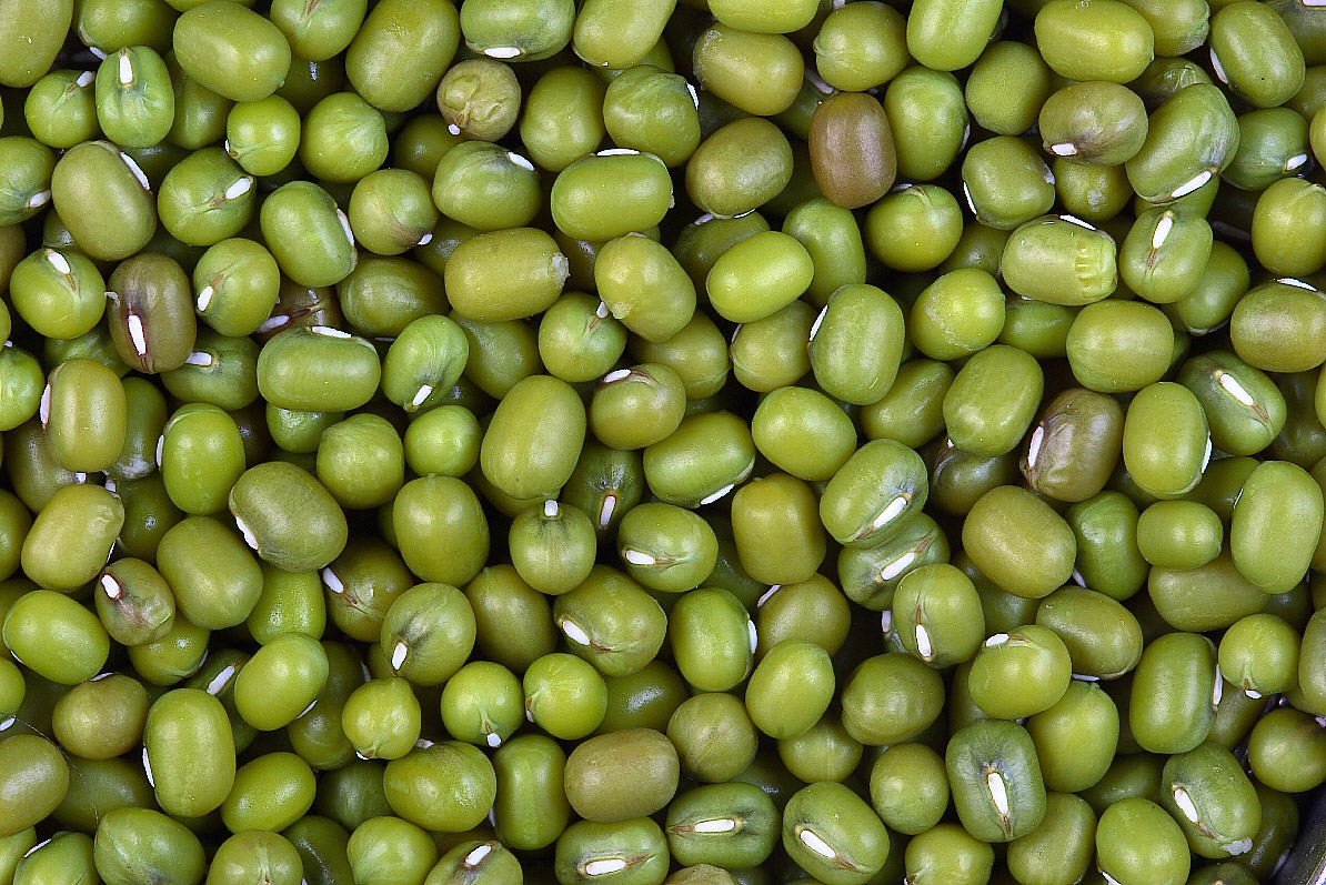 Sa green gram