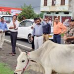 कलेक्टर ने सागर भोपाल रोड के ब्लैक स्पॉट देखे,सड़क पर गोवंश को पकड़ने की मुहिम हुई शुरू