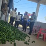 सफलता की कहानी:अटल भूजल योजना से बदली तस्वीर,तुलसीराम पटेल बने सफल उद्यानिकी किसान