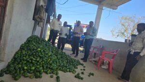 सफलता की कहानी:अटल भूजल योजना से बदली तस्वीर,तुलसीराम पटेल बने सफल उद्यानिकी किसान